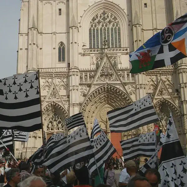 /images/tich/Breizh-manif-nantes-gwenn-ha-du.webp