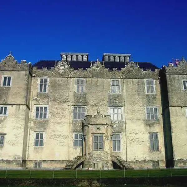 /images/tich/portumna_castle_wild_geese_muesum.webp